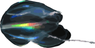 Image of a Comb Jelly