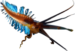 Image of a Squidworm